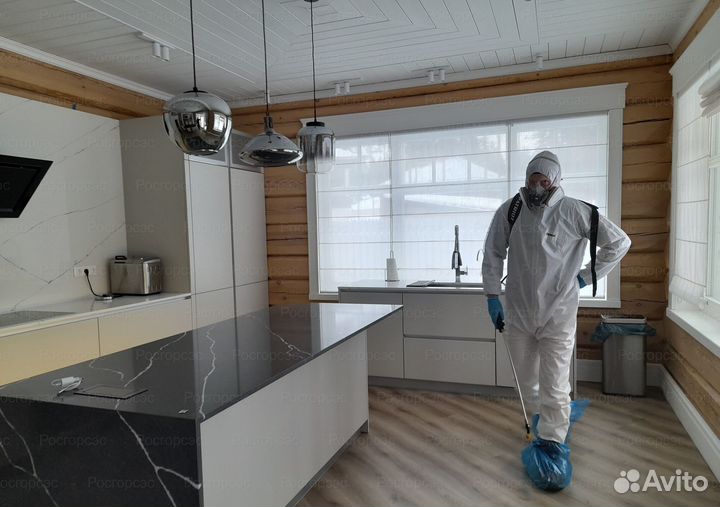 Уничтожение клопов тараканов клещей борщевика