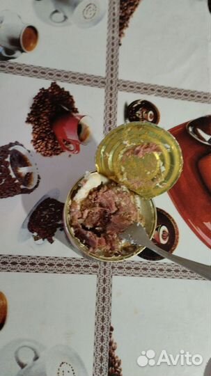 Тушёнка говяжья