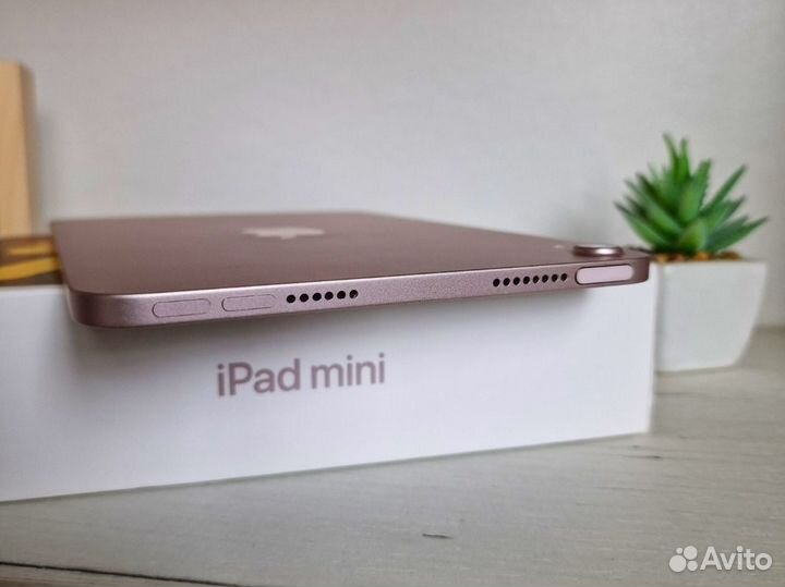 iPad Mini 6 поколения + стилус