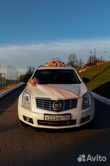 Аренда автомобиля