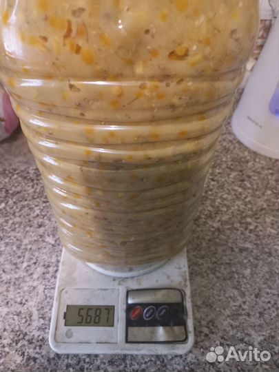 Кукуруза, горох ферментированные (пьяная)