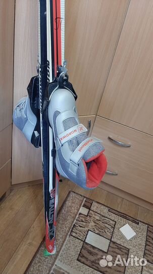 Лыжные ботинки