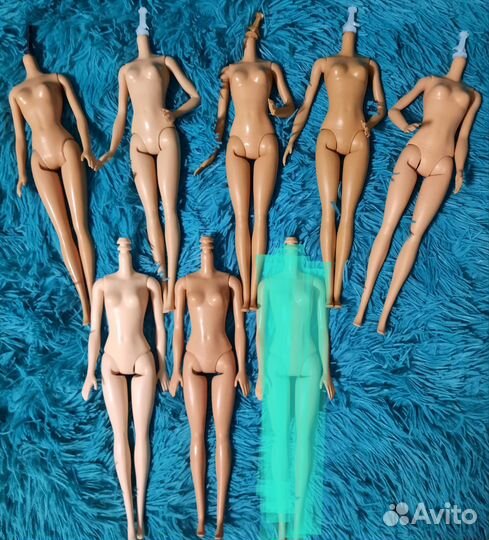 Тела кукол Барби, тело винкс и куклы Кены