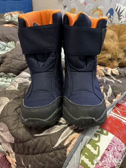 Сапоги демисезонные