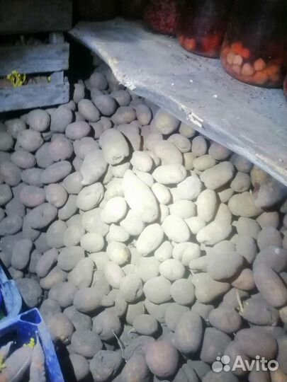 Продукты питания оптом