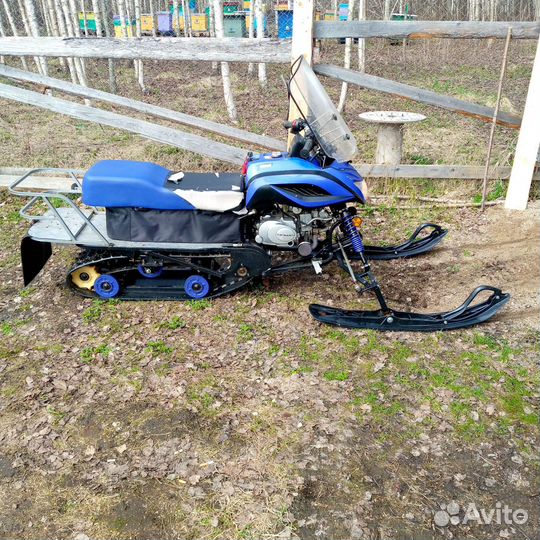 Динго Т125