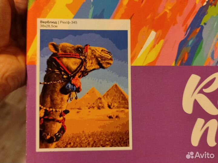 Картина по номерам новая