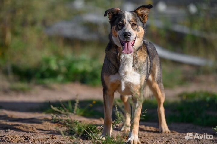 Машуня угосает в вольере
