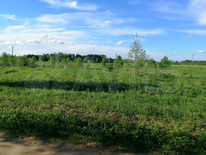 Участок 4,21 га (СНТ, ДНП)