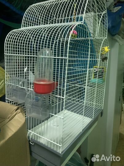 Клетка для попугаев большая и Игрушки для попугая