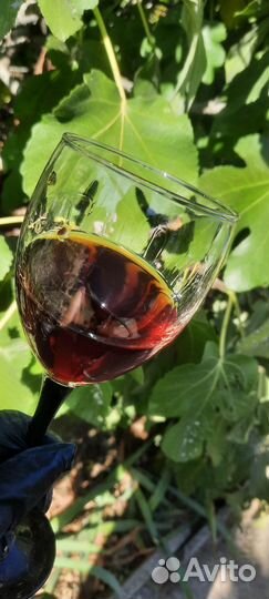 Сок виноградный домашний