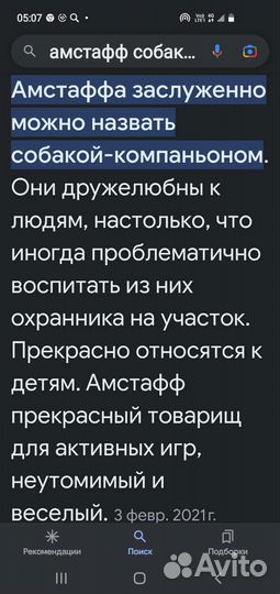 Стаффордширский терьер щенки