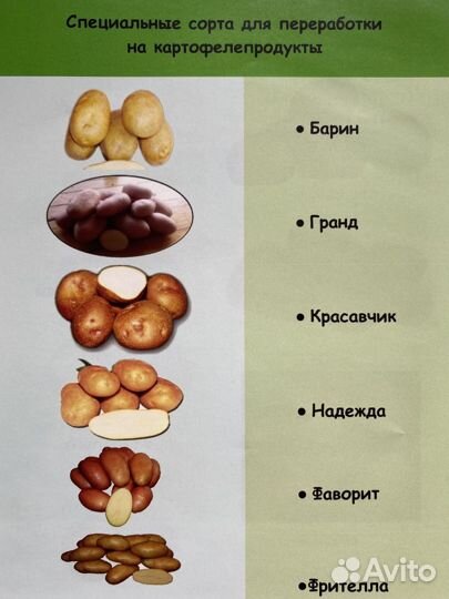 Семенной картофель высших категорий качества