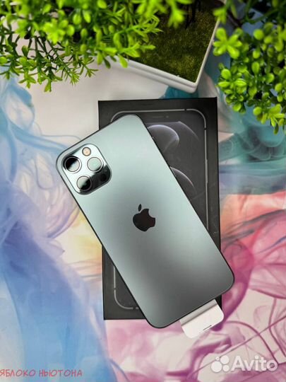 iPhone 12 Pro, 256 ГБ