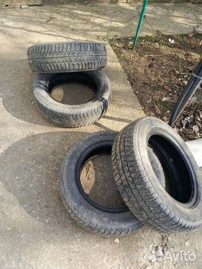 Cordiant Polar SL 175/65 R14