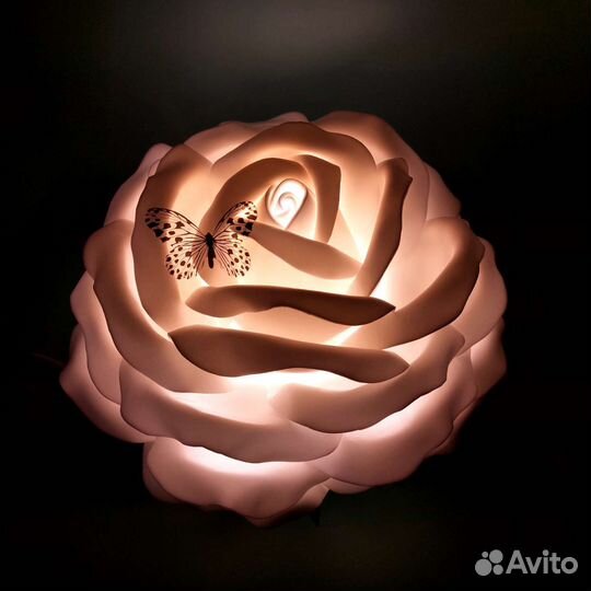Ночник роза