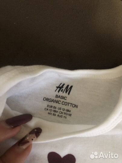 Боди hm 86 новые