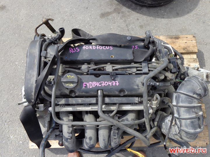 Двигатель fydc Ford Focus 1 1.6 арт4998