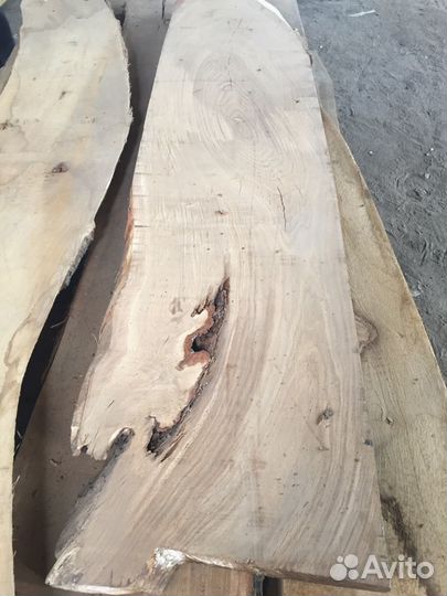 Слэб ясень, дуб, лиственница в Омске