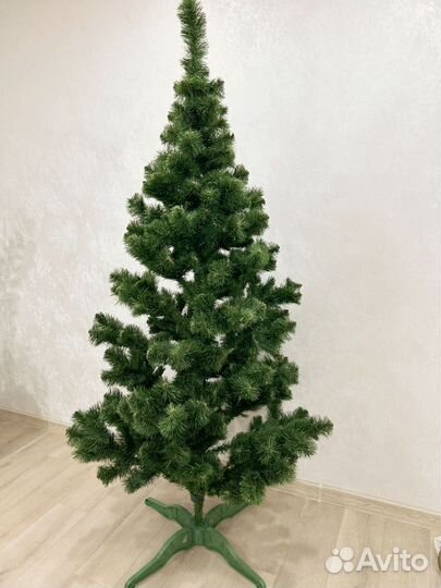 Сосна новогодняя