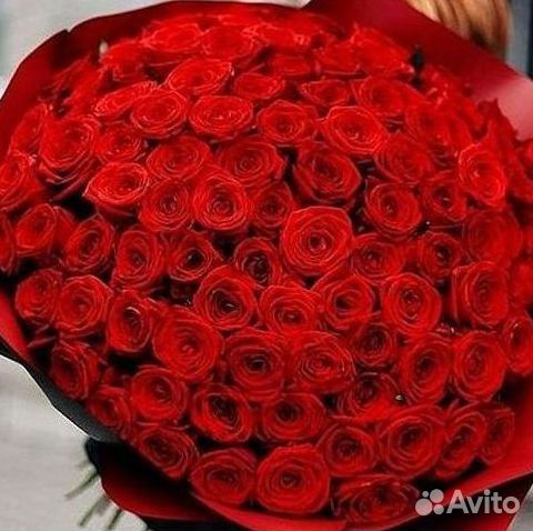 Высокие розы Гигантские розы 110