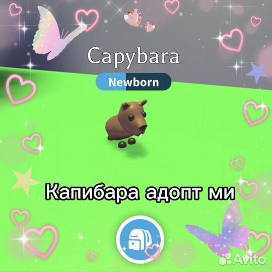 Адопт ми капибара