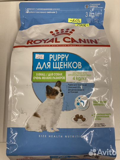 Monge, Gemon, Core, Best Dinner