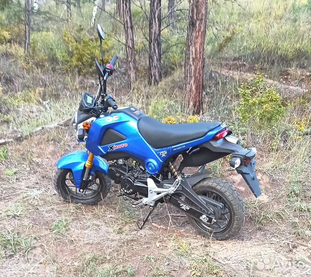 ABM xmoto MSX125