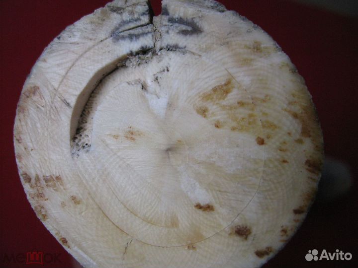 Бивень мамонта 14 охотникам резьбы по кости