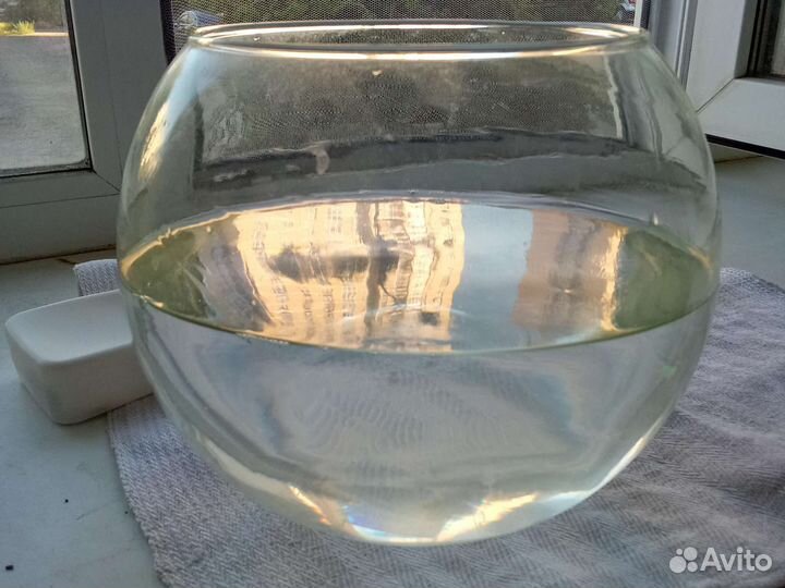 Аквариум для петушка