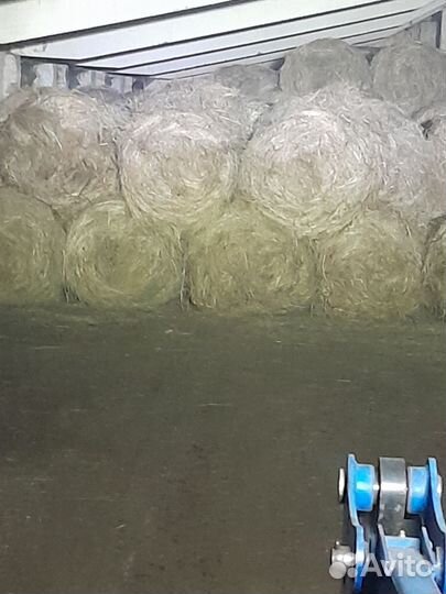Продам сено в рулонах