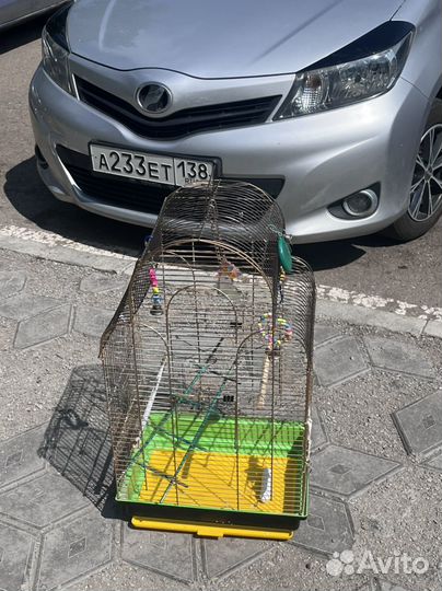 Клетка для попугая