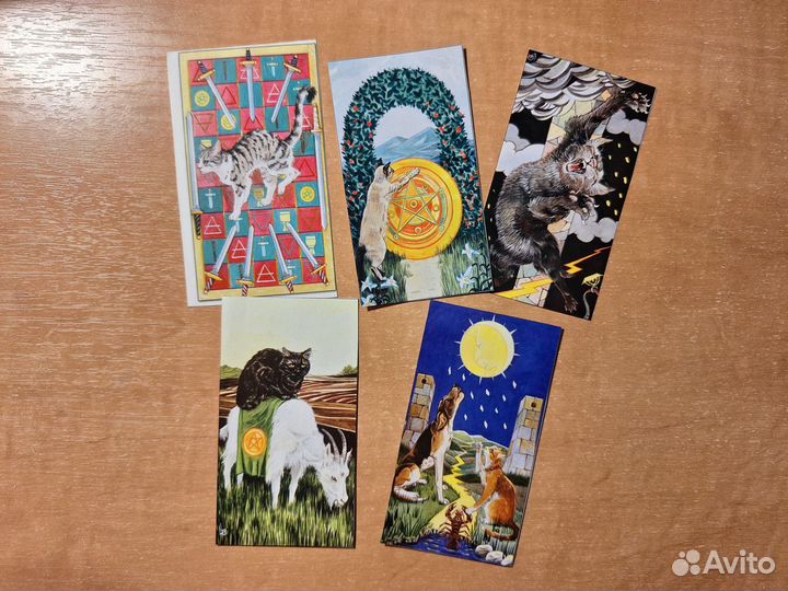 Вырезки с котами