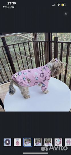 Кофта для собаки