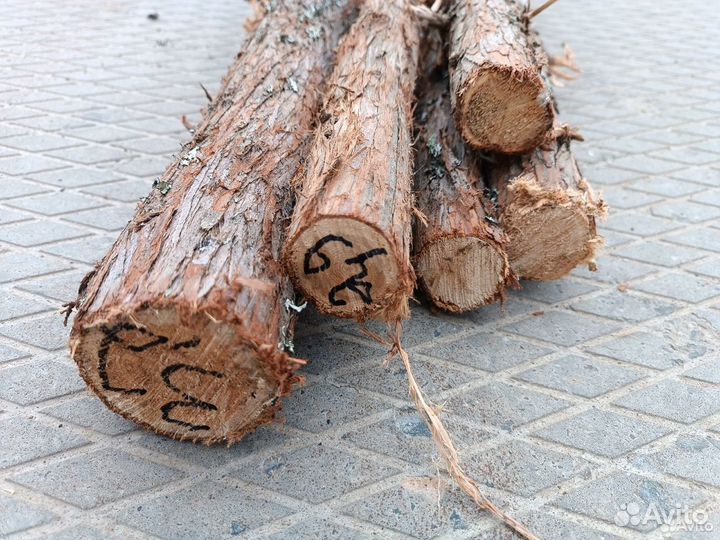 Стволы можжевельника панно спилы за 1 килограмм