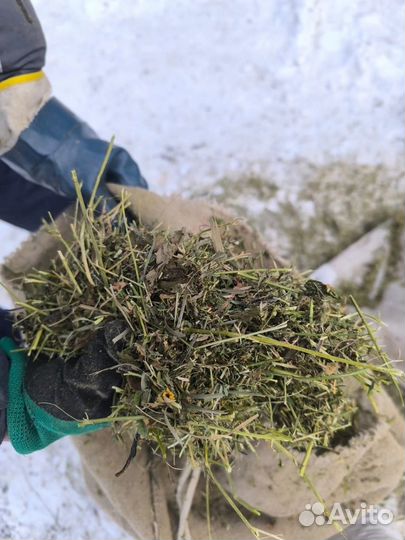 Дробленное сено