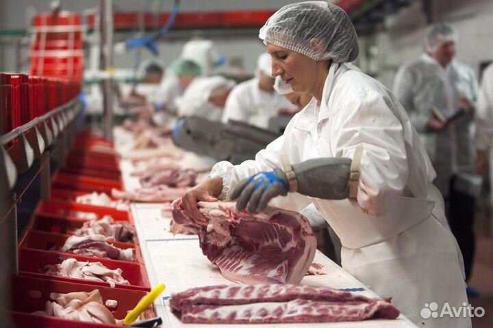 Упаковщики на мясокомбинат.Воронежская обл.Вахта