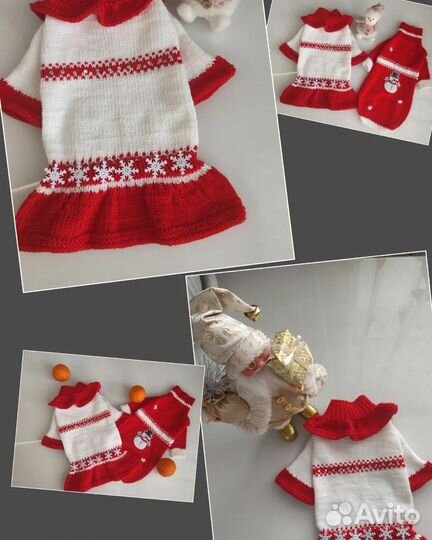 Одежда для собак