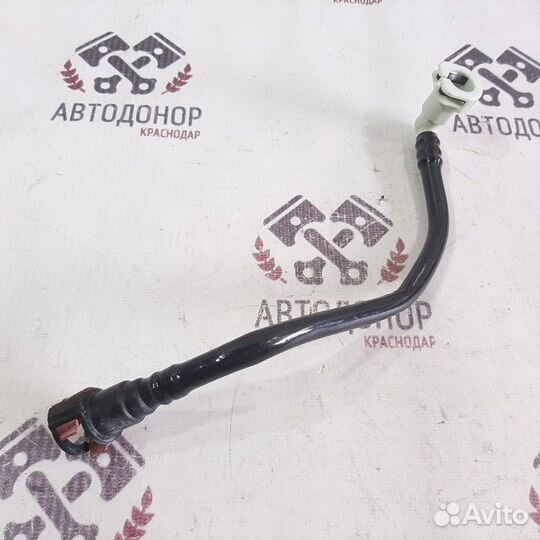 Трубка топливная Chevrolet Cruze J300 F16D3 2012