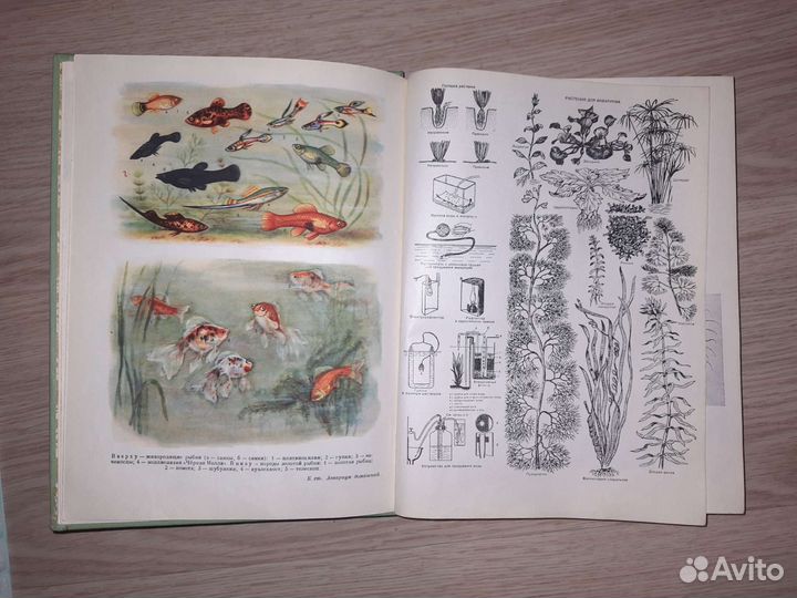 Краткая энциклопедия домашнего хозяйства 2т (1959)