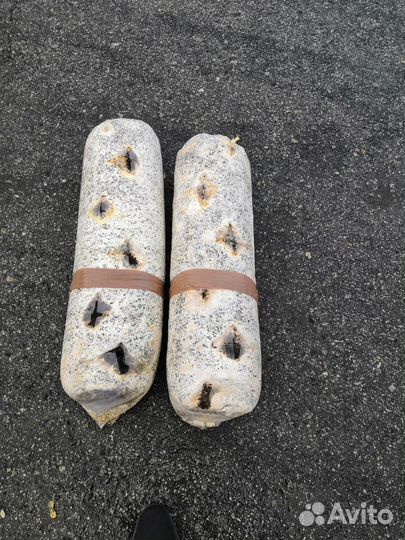 Лузга подсолнечника