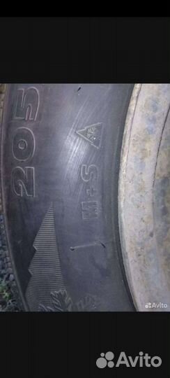 Tigar Winter 205/65 R15 94T