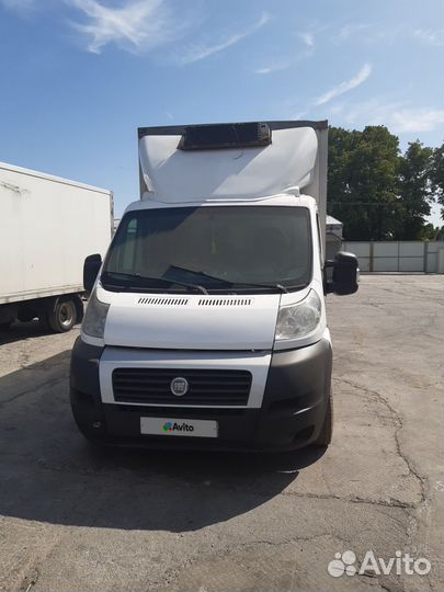 FIAT Ducato рефрижератор, 2009