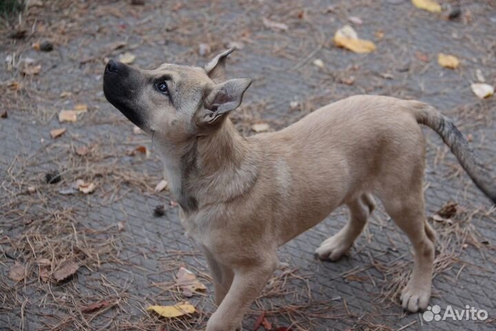 Девочка 3,5 месяца. Стерильна
