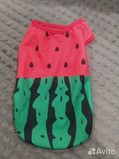 Одежда для собак