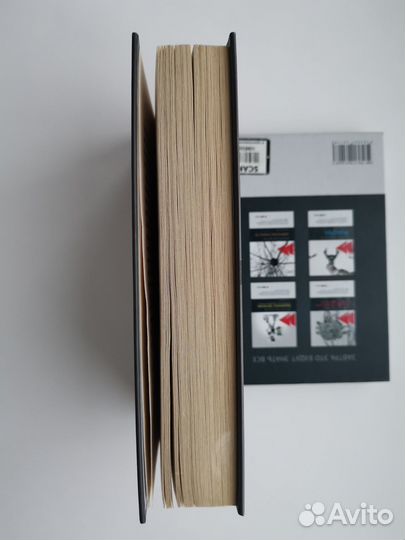 Найдерман. Адвокат дьявола