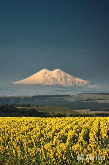 Автобусный тур на Кавказ: Эльбрус, Кисловодск