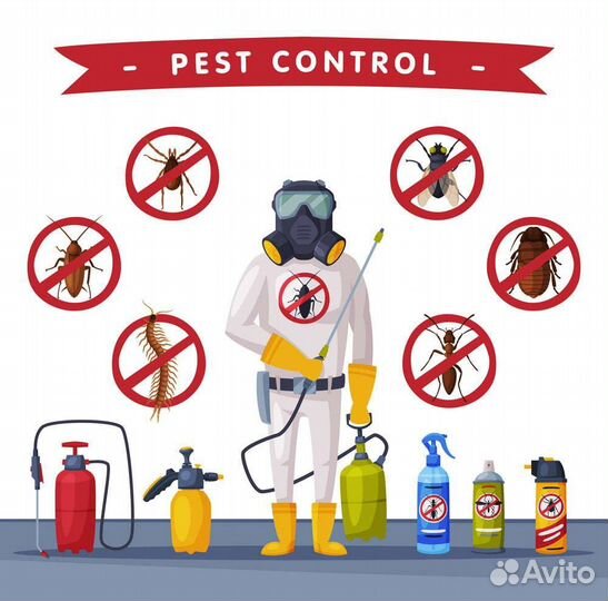 Уничтожение насекомых