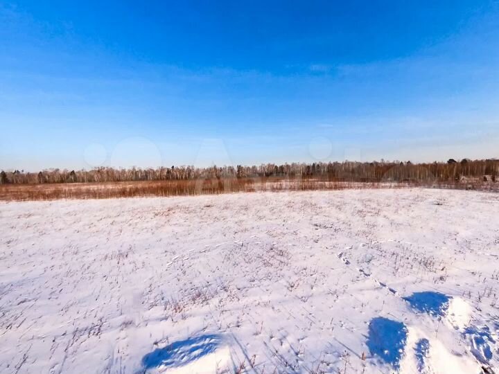 Участок 6 сот. (личное подсобное хозяйство (лпх))