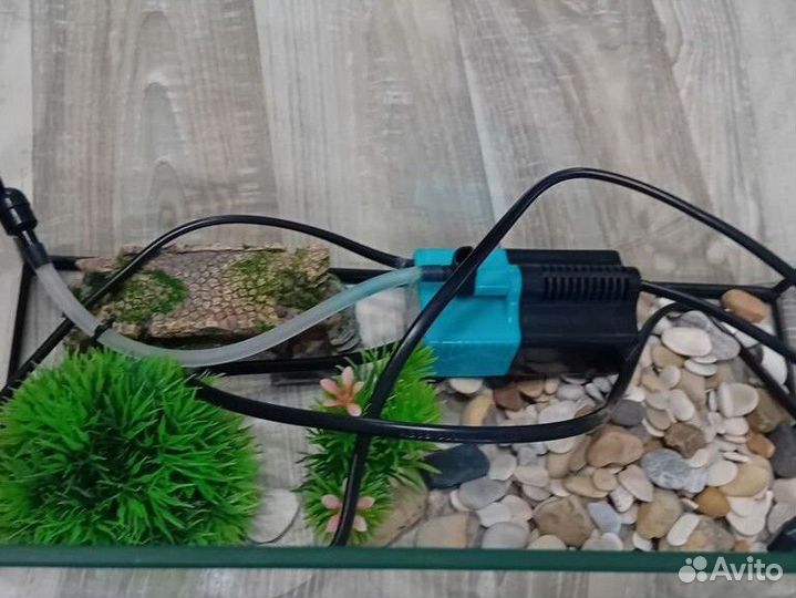 Аквариум 10л,с фильтром,декорациями